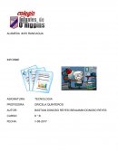 ANALISIS Y DESCRIPCION MORFOLOGICA DE LA NECESIDAD DEL COLEGIO