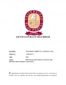 Seguridad Hambiental LICENCIATURA EN SEGURIDAD