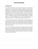 PROYECTO DE INVERSION INTRODUCCION