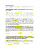 Cuadriláteros y triángulos