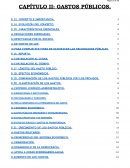 CAPÍTULO II: GASTOS PÚBLICOS.