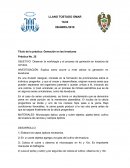 Título de la práctica: Gemación en las levaduras