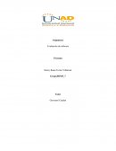 Asignatura Evaluación de software