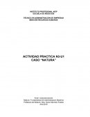 Actividad practica N3-U1 Caso “Natura”