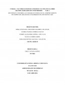 IDENTIFIQUE Y DESCRIBA LAS VARIABLES EXTERNAS EN EL COMPORTAMIENTO DE COMPRA DEL MILLENNIALS COLOMBIANO DEL ESTUDIO DE CASO.