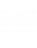 TESIS INSTITUTO DE EDUCACIÓN SUPERIOR PEDAGÓGICO