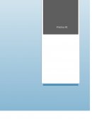 Como se da la La estrategia empleada en la pelicula el patriota