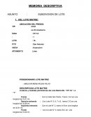 Memoria descriptiva subdivision ASUNTO : SUBDIVISION DE LOTE