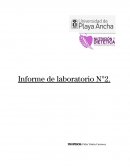 Informe de laboratorio testículo de un pejesapo