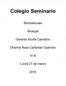 Biologia Se agrupan en cuatro grandes tipos: carbohidratos, lípidos, proteínas y ácidos nucleicos