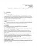 Ave trabajo final El efecto de la responsabilidad en la construccion para futuras generaciones