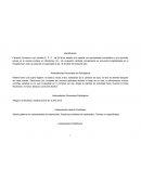 El nuecpo Proceso de atencion de enfermeria a paciente puerpera Identificación