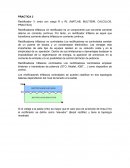 Biologia PRACTICA 3