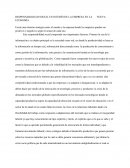 LA GRAN RESPONSABILIDAD SOCIAL EN INTERÉS DE LA EMPRESA EN LA NUEVA ECONOMÍA