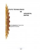 Como se da el Diseño y seleccion de herramienta