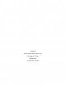 Desarrolle la siguiente actividad, considerando los contenidos revisados durante la semana: Control 4