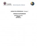 Producto integrador de biología I. Debate sobre el desarrollo