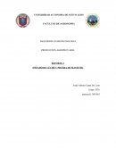 Vacas lecheras (PESADO DE LECHE Y PRUEBA DE MASTITIS)