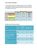 Plan de Gestión de Riesgos: Islandia en 5 dias