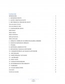 TEORIA DEL DELITO DOS FORMAS DEL CONCURSO DEL DELITO