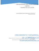 Que son las Férulas de estabilización
