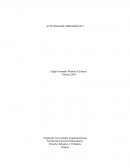 NORMAS INTERNACIONALES Y SUJETOS DE OBLIGACIÓN ADUANERA