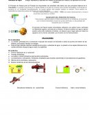 Fisica En la naturaleza