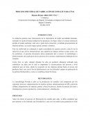 PROCESO INDUSTRIAL DE FABRICACIÓN DE ESMALTE PARA UÑAS