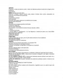 Amparo Protección y tutela del derecho acción y efecto de dispensar justicia por parte de los órganos de la jurisdicción