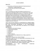 Enlace quimico. PROCEDIMIENTO