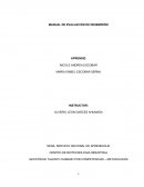 MANUAL DE EVALUACIÓN DE DESEMPEÑO