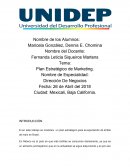 DISEÑO DEL PLAN ESTRATÉGICO DE MERCADOTECNIA