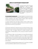 Psicoterapia Corporal, Logoterapia y Psicoterapia Transpersonal
