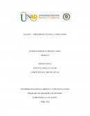 TALLER 2 - COMPRENSION Y PRODUCCION DEL DISCURSO NARRATIVO