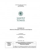 INFORME DE Síntesis de Principales Funciones de una Empresa