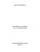 Ensayo situación económica