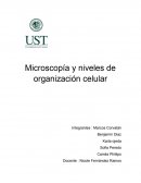 Microscopía y niveles de organización celular