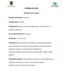 Farmacologia. Oxacilina