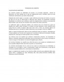 TECNOLOGIA DEL CONCRETO CLASIFICACION DE MORTEROS