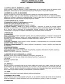 ANALSIS LITERARIO DE LA OBRA DIOSES Y HOMBRES DE HUAROCHIRI