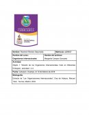 Actividad: objeto 1 “Estudio de los organismos internacionales visto en diferentes enfoques”