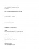 FUNCIÓN DEL JUZAGDOR EN EL DEBIDO PROCESO