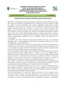 Triangulación de las guías de entrevista y guión de observación