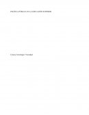 ¿Qué importancia tiene la educación pública en la política?