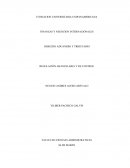 Actividad Regulación arancelaria y de control