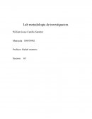 Trabajo lab metodologia invetigacion