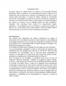 Ergonomia del producto