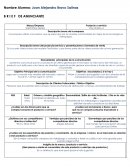 PLANTILLA BRIEF ANUNCIANTE