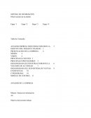 ANÁLISIS EMPRESA INDUSTRIAS NOR-BUR S.A.