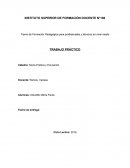 Alberdi y Sarmiento. Trabajo práctico